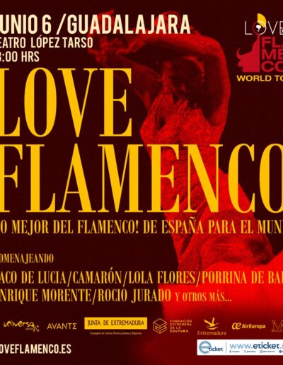 Love Flamenco World Tour Guadalajara
