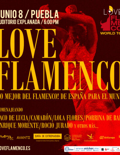 Love Flamenco World Tour Puebla