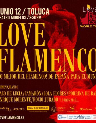 Love Flamenco World Tour Toluca